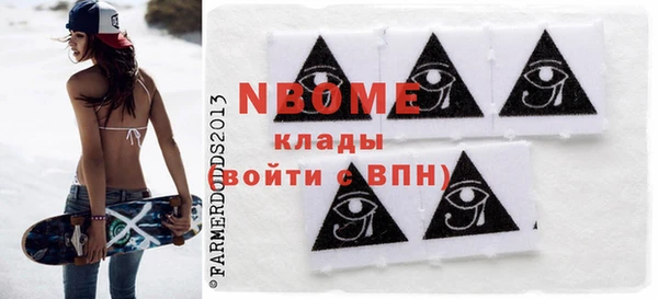 гашик Алексин