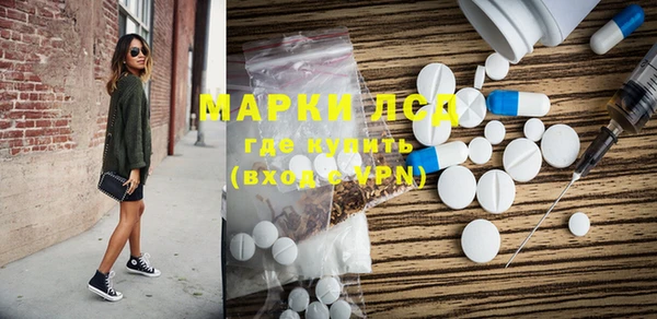 гашик Алексин