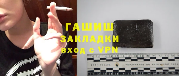 гашик Алексин