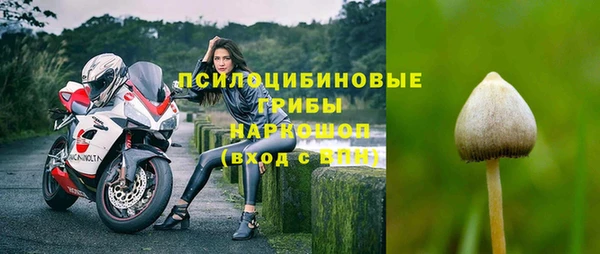 крисы Алексеевка