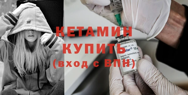 гашик Алексин